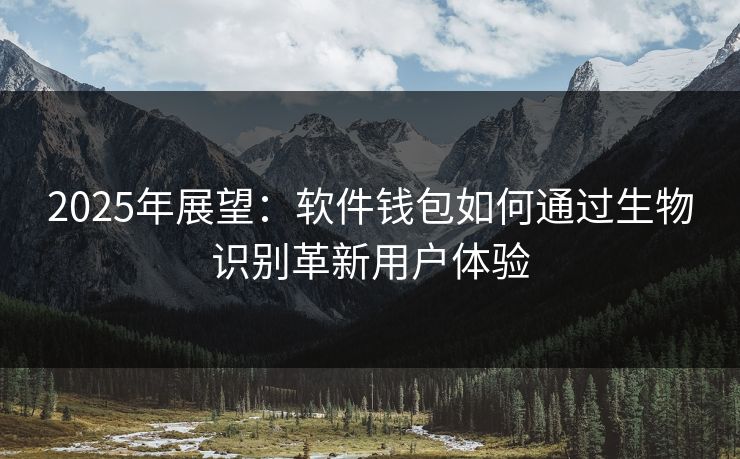 2025年展望：软件钱包如何通过生物识别革新用户体验
