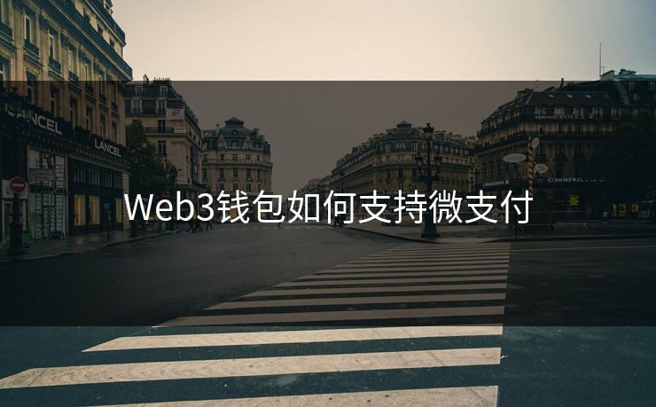 Web3钱包如何支持微支付
