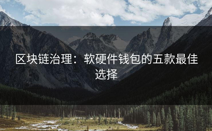 区块链治理：软硬件钱包的五款最佳选择