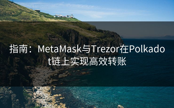 指南：MetaMask与Trezor在Polkadot链上实现高效转账